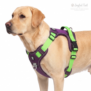 Анатомическая шлея для собак усиленная Duomm FidoFlex шлейка фиолетовая с зелёным, S 001676 фото