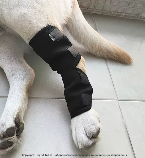 М'який бандаж на задню лапу собаки DogLemi H-Paw ортез на скакальний суглоб при болі, артриті або після операції S 001859 фото