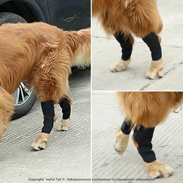 М'який бандаж на задню лапу собаки DogLemi H-Paw ортез на скакальний суглоб при болі, артриті або після операції S 001859 фото