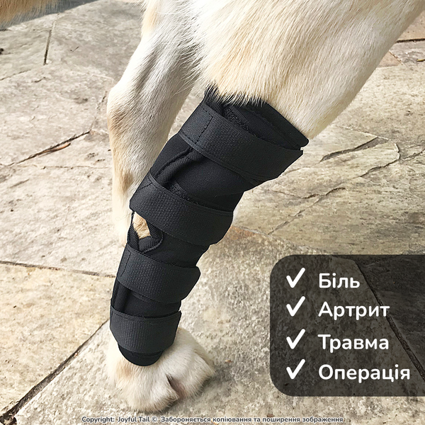 М'який бандаж на задню лапу собаки DogLemi H-Paw ортез на скакальний суглоб при болі, артриті або після операції S 001859 фото