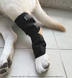 М'який бандаж на задню лапу собаки DogLemi H-Paw ортез на скакальний суглоб при болі, артриті або після операції S 001859 фото 6