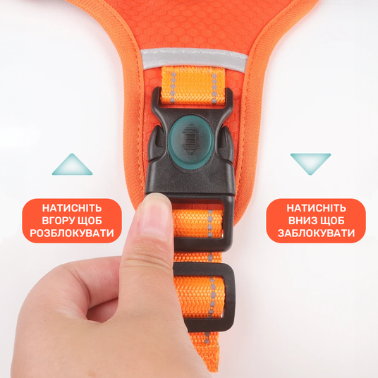 Купить Анатомическая шлея для собак усиленная Duomm Y-Design