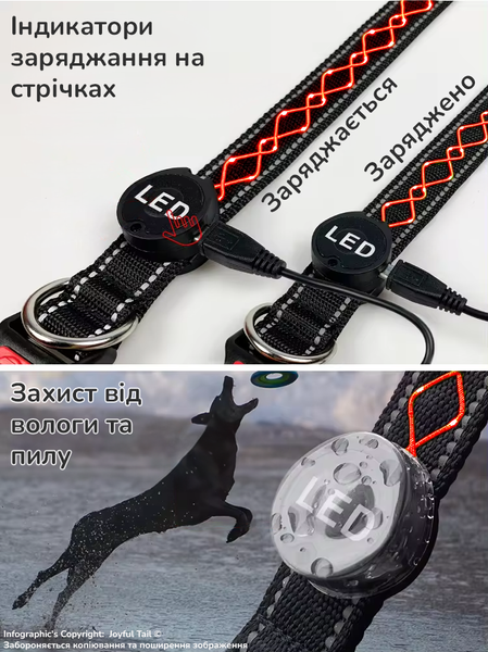 Світлодіодний нашийник LED нашийник для собак міцний нейлоновий регульований Glint ромб червоний S 001826 фото