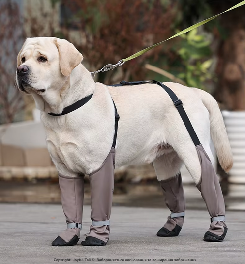 Купити Високе взуття для собак з фіксаторами DogLemi Dexar захисні