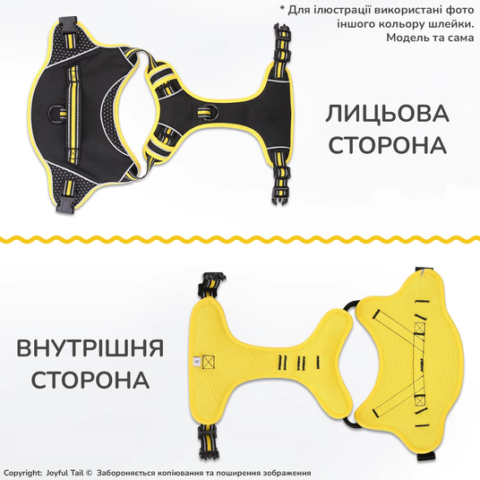 Купить Набор анатомическая шлейка для собак, ошейник и поводок